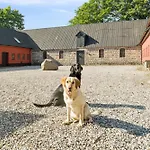 Lovely House With Pool Near Charming Aarhus * Hasselager